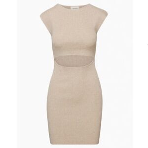 Aritzia Wilford Free Cut-Out Knit Mini Dress